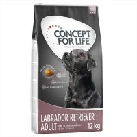 Trockenfutter Concept for Life Labrador Retriever Adult
