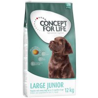 Trockenfutter Concept for Life Large Junior