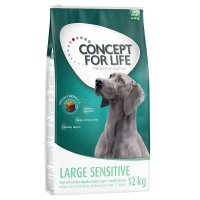Trockenfutter Concept for Life Large Sensitive