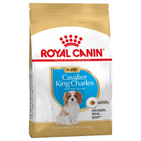 Trockenfutter Royal Canin Cavalier King Charles Puppy