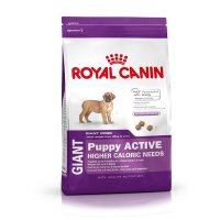 Trockenfutter Royal Canin Giant Active Puppy