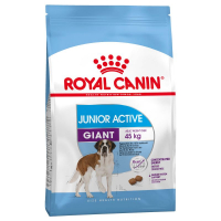 Trockenfutter Royal Canin Giant Junior Active