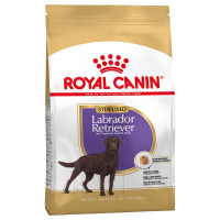 Trockenfutter Royal Canin Labrador Retriever Adult Sterilised