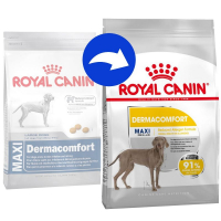 Trockenfutter Royal Canin Maxi Dermacomfort