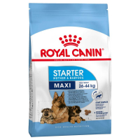 Trockenfutter Royal Canin Maxi Starter Mother & Babydog